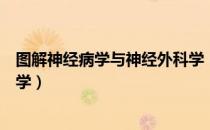 图解神经病学与神经外科学（关于图解神经病学与神经外科学）