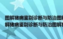 图解猪病鉴别诊断与防治图解猪病鉴别诊断与防治（关于图解猪病鉴别诊断与防治图解猪病鉴别诊断与防治）