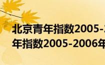 北京青年指数2005-2006年版（关于北京青年指数2005-2006年版）