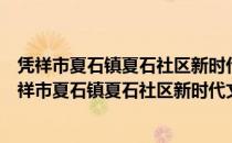 凭祥市夏石镇夏石社区新时代文明实践志愿服务队（关于凭祥市夏石镇夏石社区新时代文明实践志愿服务队）