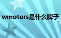 wmotors是什么牌子（wmotors是什么车）