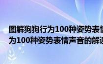 图解狗狗行为100种姿势表情声音的解读（关于图解狗狗行为100种姿势表情声音的解读）