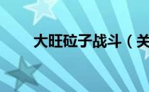 大旺砬子战斗（关于大旺砬子战斗）