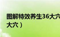 图解特效养生36大穴（关于图解特效养生36大穴）