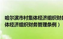 哈尔滨市村集体经济组织财务管理条例（关于哈尔滨市村集体经济组织财务管理条例）