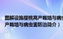 图解设施樱桃高产栽培与病虫害防治（关于图解设施樱桃高产栽培与病虫害防治简介）