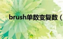 brush单数变复数（brush的复数形式）