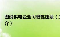 图说供电企业习惯性违章（关于图说供电企业习惯性违章简介）