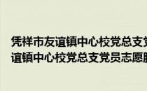 凭祥市友谊镇中心校党总支党员志愿服务队（关于凭祥市友谊镇中心校党总支党员志愿服务队）