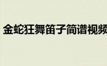 金蛇狂舞笛子简谱视频（金蛇狂舞笛子简谱）