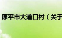 原平市大道口村（关于原平市大道口村介绍）