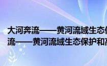 大河奔流——黄河流域生态保护和高质量发展（关于大河奔流——黄河流域生态保护和高质量发展）