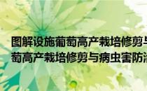 图解设施葡萄高产栽培修剪与病虫害防治（关于图解设施葡萄高产栽培修剪与病虫害防治简介）