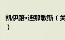 凯伊路·迪那敏斯（关于凯伊路·迪那敏斯介绍）