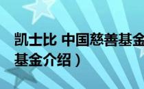 凯士比 中国慈善基金（关于凯士比 中国慈善基金介绍）