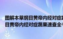 图解本草纲目黄帝内经对症蔬果速查全书（关于图解本草纲目黄帝内经对症蔬果速查全书）