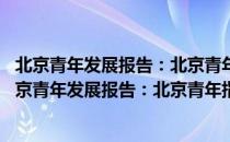 北京青年发展报告：北京青年指数2005-2006年版（关于北京青年发展报告：北京青年指数2005-2006年版）