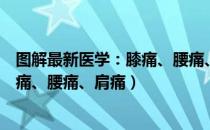 图解最新医学：膝痛、腰痛、肩痛（关于图解最新医学：膝痛、腰痛、肩痛）