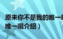 原来你不是我的唯一哦（关于原来你不是我的唯一哦介绍）