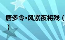 唐多令·风紧夜将残（关于唐多令·风紧夜将残）