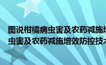 图说柑橘病虫害及农药减施增效防控技术（关于图说柑橘病虫害及农药减施增效防控技术简介）