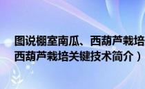 图说棚室南瓜、西葫芦栽培关键技术（关于图说棚室南瓜、西葫芦栽培关键技术简介）