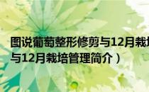 图说葡萄整形修剪与12月栽培管理（关于图说葡萄整形修剪与12月栽培管理简介）