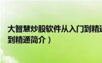 大智慧炒股软件从入门到精通（关于大智慧炒股软件从入门到精通简介）