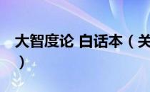 大智度论 白话本（关于大智度论 白话本简介）