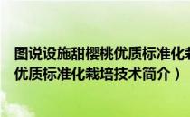 图说设施甜樱桃优质标准化栽培技术（关于图说设施甜樱桃优质标准化栽培技术简介）