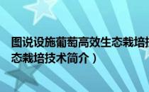 图说设施葡萄高效生态栽培技术（关于图说设施葡萄高效生态栽培技术简介）