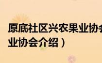 原底社区兴农果业协会（关于原底社区兴农果业协会介绍）