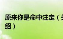 原来你是命中注定（关于原来你是命中注定介绍）