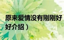 原来爱情没有刚刚好（关于原来爱情没有刚刚好介绍）