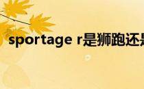 sportage r是狮跑还是智跑（sportage r）