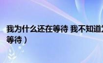 我为什么还在等待 我不知道为何仍这样痴情（我为什么还在等待）