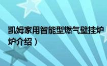 凯姆家用智能型燃气壁挂炉（关于凯姆家用智能型燃气壁挂炉介绍）