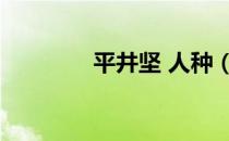 平井坚 人种（平井坚混血）