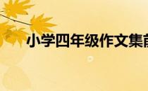 小学四年级作文集前言（作文集前言）