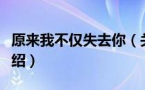 原来我不仅失去你（关于原来我不仅失去你介绍）