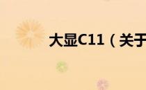 大显C11（关于大显C11简介）