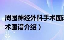 周围神经外科手术图谱（关于周围神经外科手术图谱介绍）