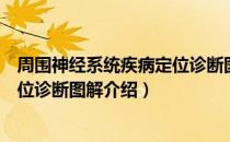 周围神经系统疾病定位诊断图解（关于周围神经系统疾病定位诊断图解介绍）