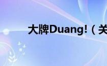 大牌Duang!（关于大牌Duang!）