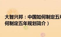 大智兴邦：中国如何制定五年规划（关于大智兴邦：中国如何制定五年规划简介）