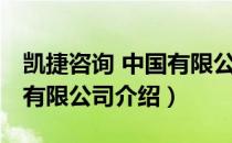 凯捷咨询 中国有限公司（关于凯捷咨询 中国有限公司介绍）