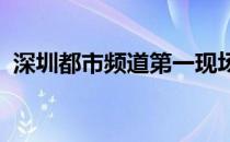 深圳都市频道第一现场直播京东金融诈骗犯