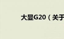 大显G20（关于大显G20简介）