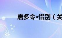 唐多令·惜别（关于唐多令·惜别）