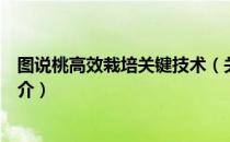 图说桃高效栽培关键技术（关于图说桃高效栽培关键技术简介）